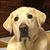 Peggy Gress's profile image