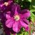 Maureen Hutter Christensen's profile image