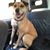 Daniel O'Donnell's profile image