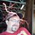 Derek Dobbs's profile image