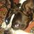 Patty Dejoie's profile image