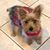 Katherine Byard's profile image