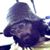 Russell Adams's profile image