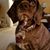 Donna Fletcher Simpson's profile image