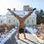 Duane Wirth's profile image