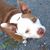 Johnnie A. Sego's profile image