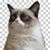 James Collis's profile image