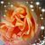 Carolyn S. Dishman-Adkins's profile image