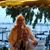Paula Anderson Trout's profile image