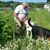 James Heisler's profile image
