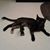 Christy Jones Keilholtz's profile image