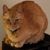 Paul Turner's profile image