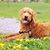 Joseph Moorman's profile image