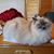 Susan Holmquist's profile image