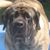 Alice Wade's profile image