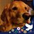 Jana Childs's profile image
