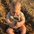 Pamela Blanford's profile image