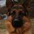 Julie Freberge's profile image