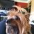 Sandy Chavez's profile image