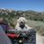 Marsha Dewey Hatch's profile image