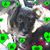 Kay Phillips Morehead's profile image