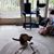 Gwyneth Gall Johnson's profile image