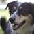 Julia Phillips's profile image