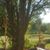 Krissy Foraker's profile image