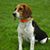 Heather Harrison Lengyel's profile image