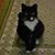 Pat Johanson's profile image