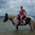 Debbie Morningstar Ostendorf's profile image