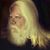 Randy Gieser's profile image