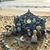 Stacey Bartlebaugh-Thomas's profile image