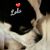 Shelley Strada Romano's profile image