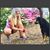 Shelby M Labar's profile image