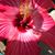 Heather Harding's profile image