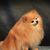 Robin Lynne Webb's profile image