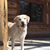 Gina Blodgett's profile image