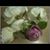 Lucy Cartagena Martinez's profile image