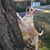 Tiffany Taczek's profile image