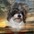 Sara Hurtado's profile image