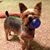 Jerry Johnson's profile image