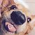 Jeanine Smith Clay's profile image