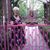 Peggy Lail's profile image
