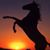 Julie Sargent's profile image