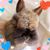 Norma Jean Wingo's profile image