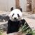 Jill Frederick Jones's profile image