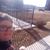 Marisa Newbery's profile image
