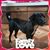 Abet Imperial's profile image