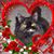 Susan Gardner's profile image